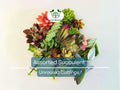 20+ Assorted Succulent Unrooted Cuttings - 20 Varieties, Echeveria, Crassula, Sedum, Aloe, Kalanchoe, & More - DIY Plant Collection