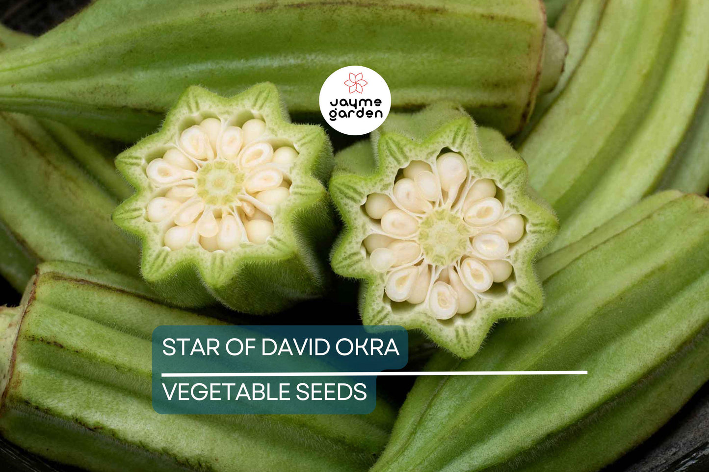 40 Star of David Okra Seeds – Heirloom, Non-GMO, Unique Shape & Flavor | USA Seller, Free Shipping