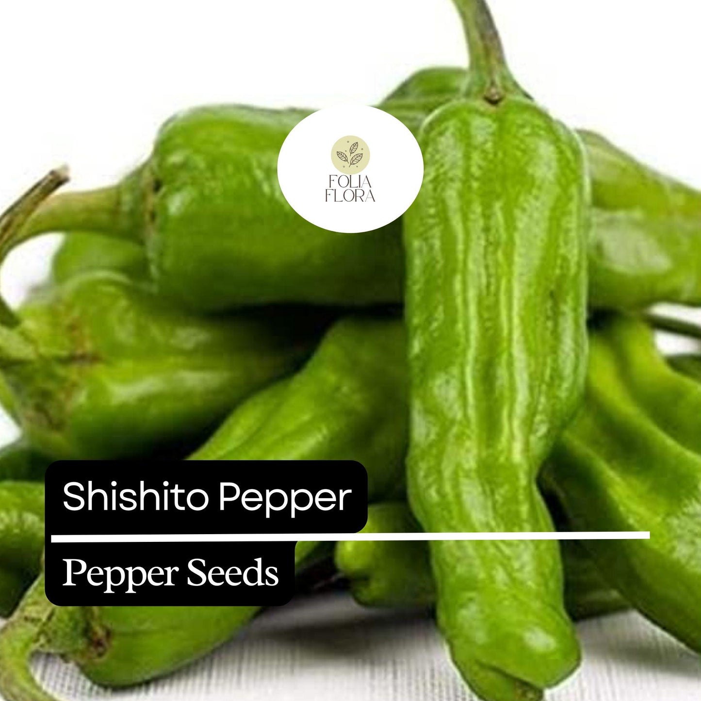 20 Shishito Pepper Seeds – Mild & Sweet – Heirloom, Non-GMO, Easy to Grow