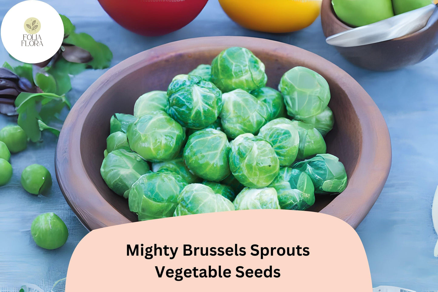 500+ Mighty Brussels Sprouts Seeds – High-Yield, Cold-Hardy Variety for Garden
