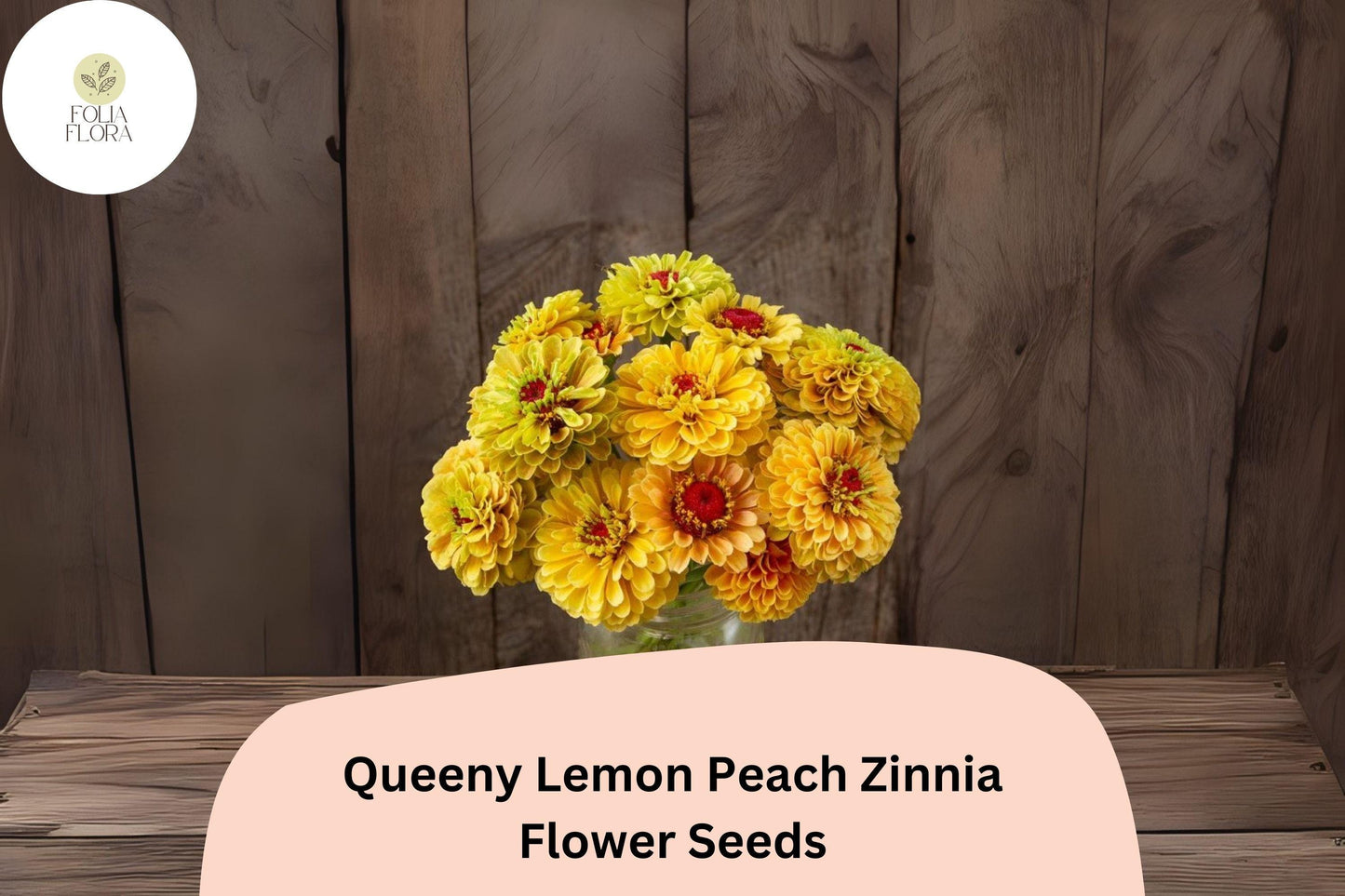100+ Queeny Lemon Peach Zinnia Seeds – Unique Peach-Yellow Blooms for Garden Planting, Borders & Cut Flowers