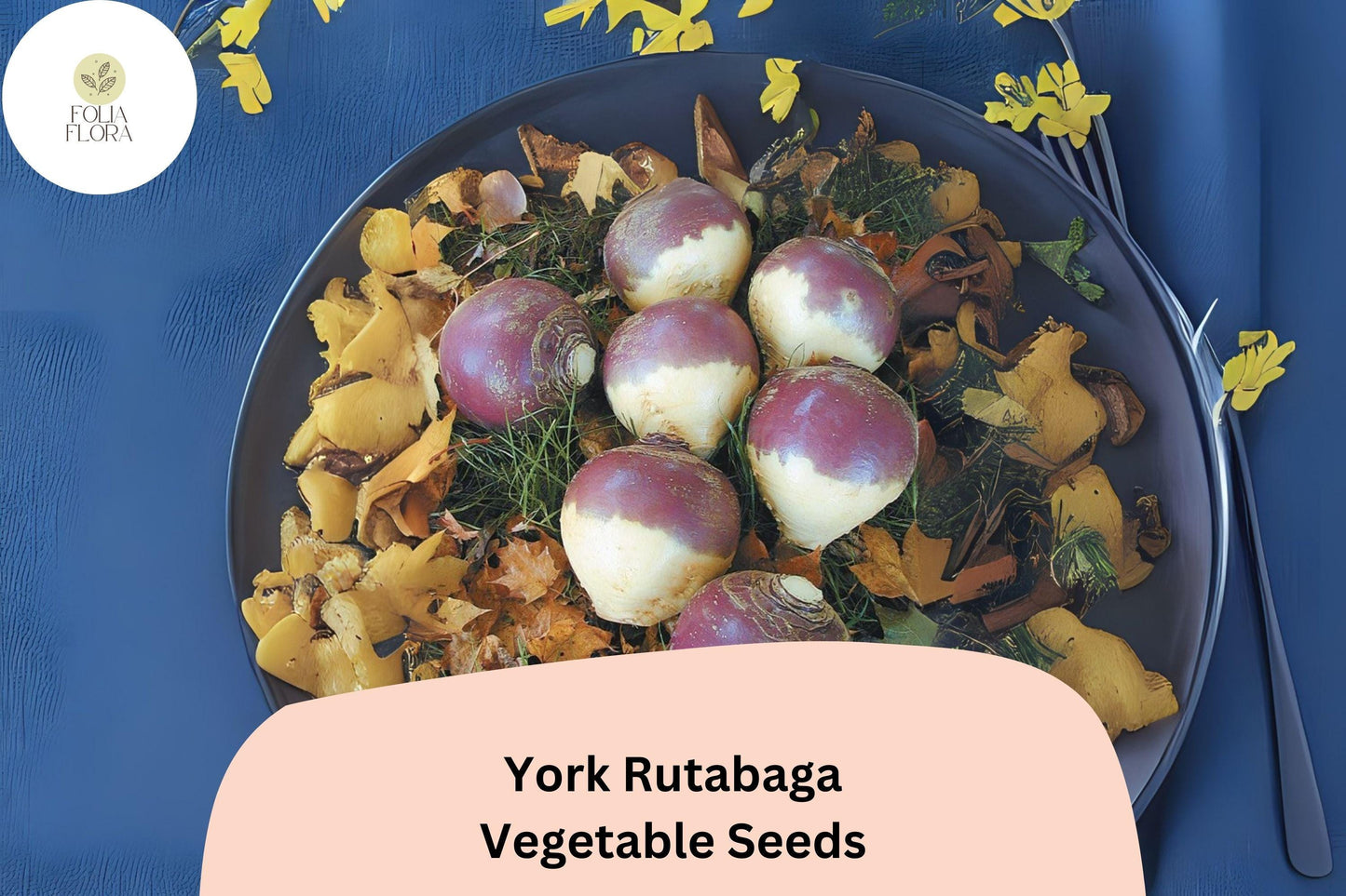 500+ York Rutabaga Seeds – Heirloom Root Vegetable Seeds for Garden Planting