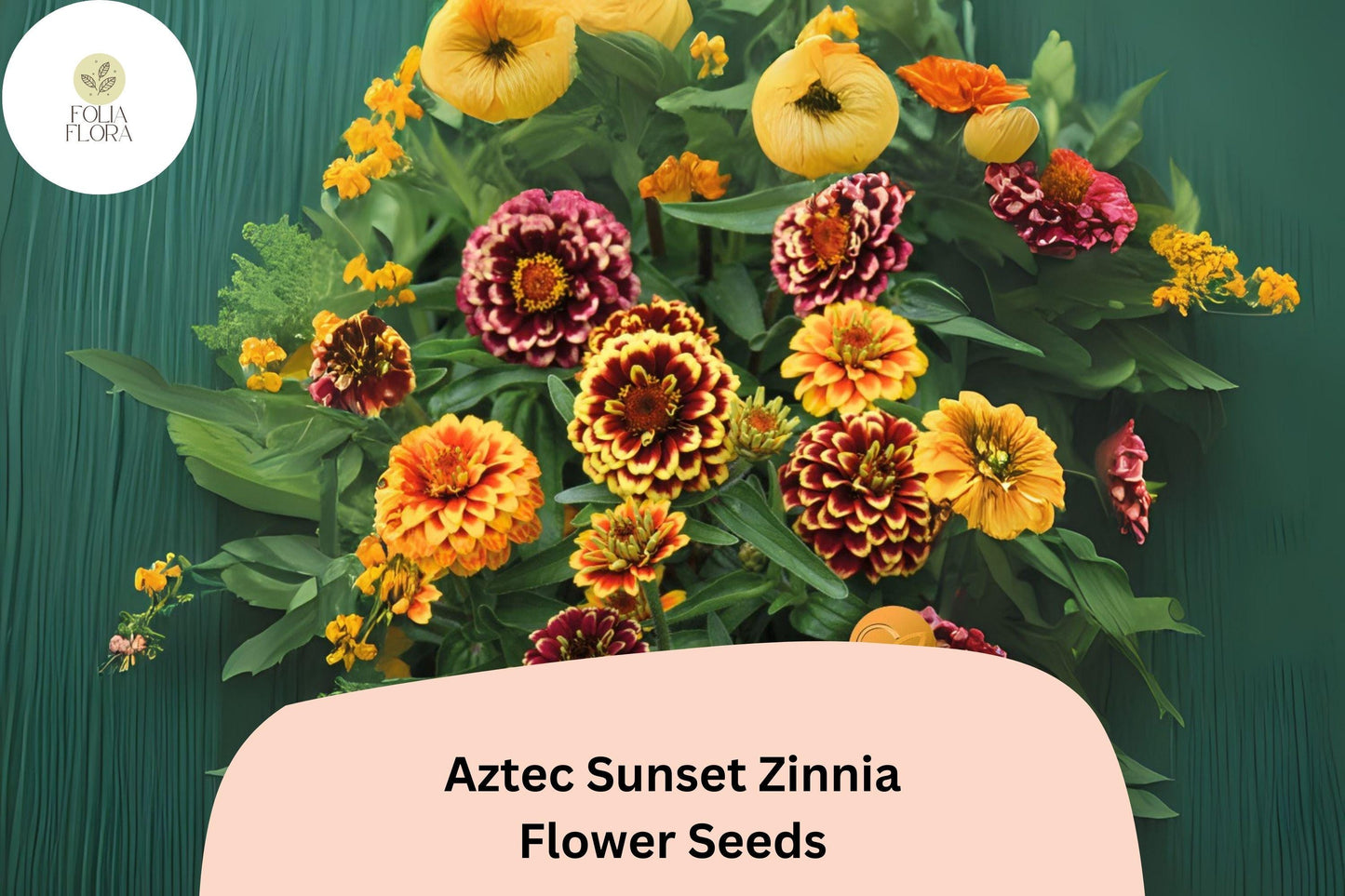 100+ Aztec Sunset Zinnia Seeds – Warm Bi-Color Blooms for Summer Gardens & Cut Flowers