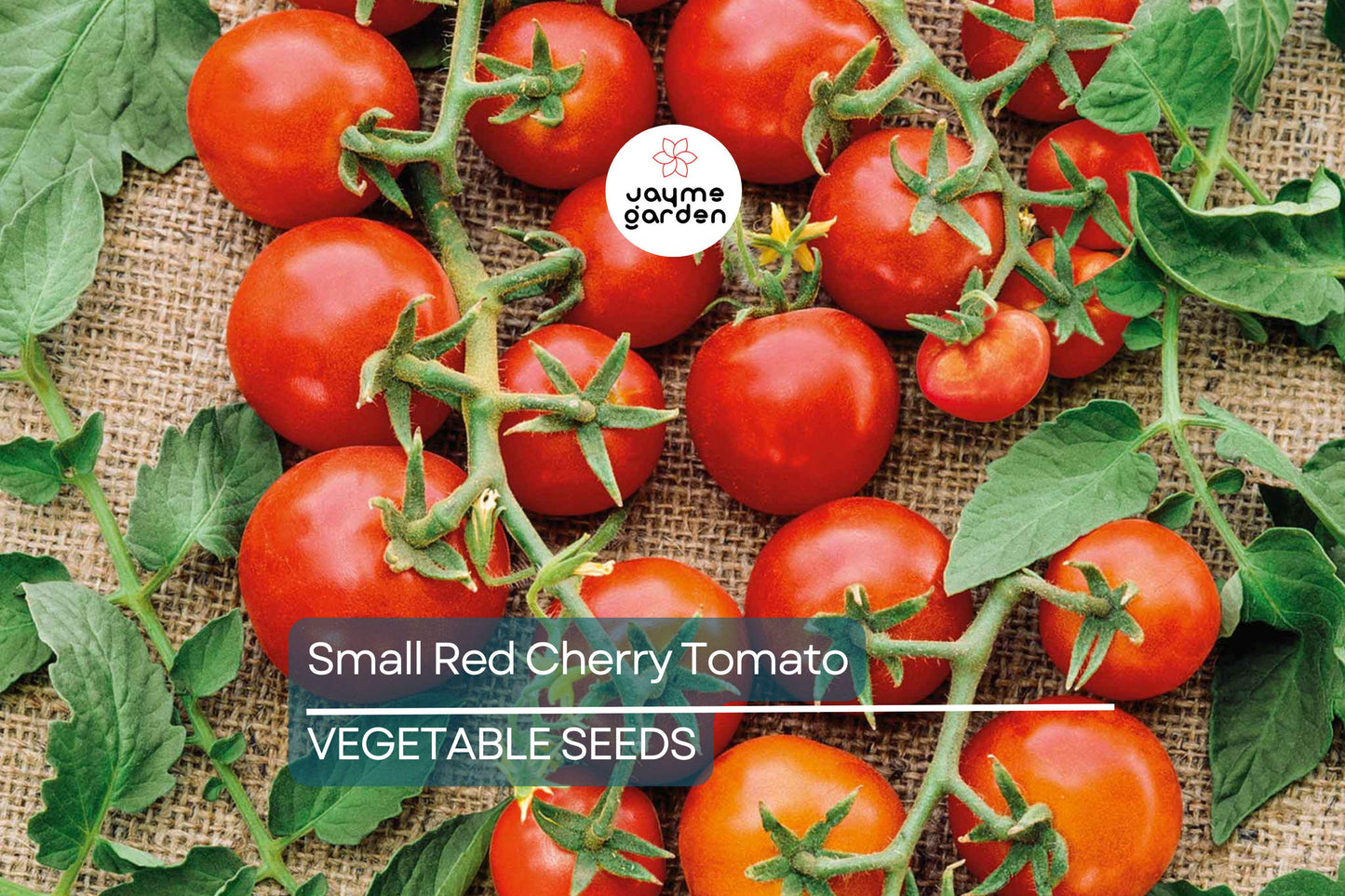 50 Small Red Cherry Tomato Seeds - Non-GMO Heirloom | High Yield & Sweet Flavor | Indeterminate Vines | USA Seller | Free Shipping