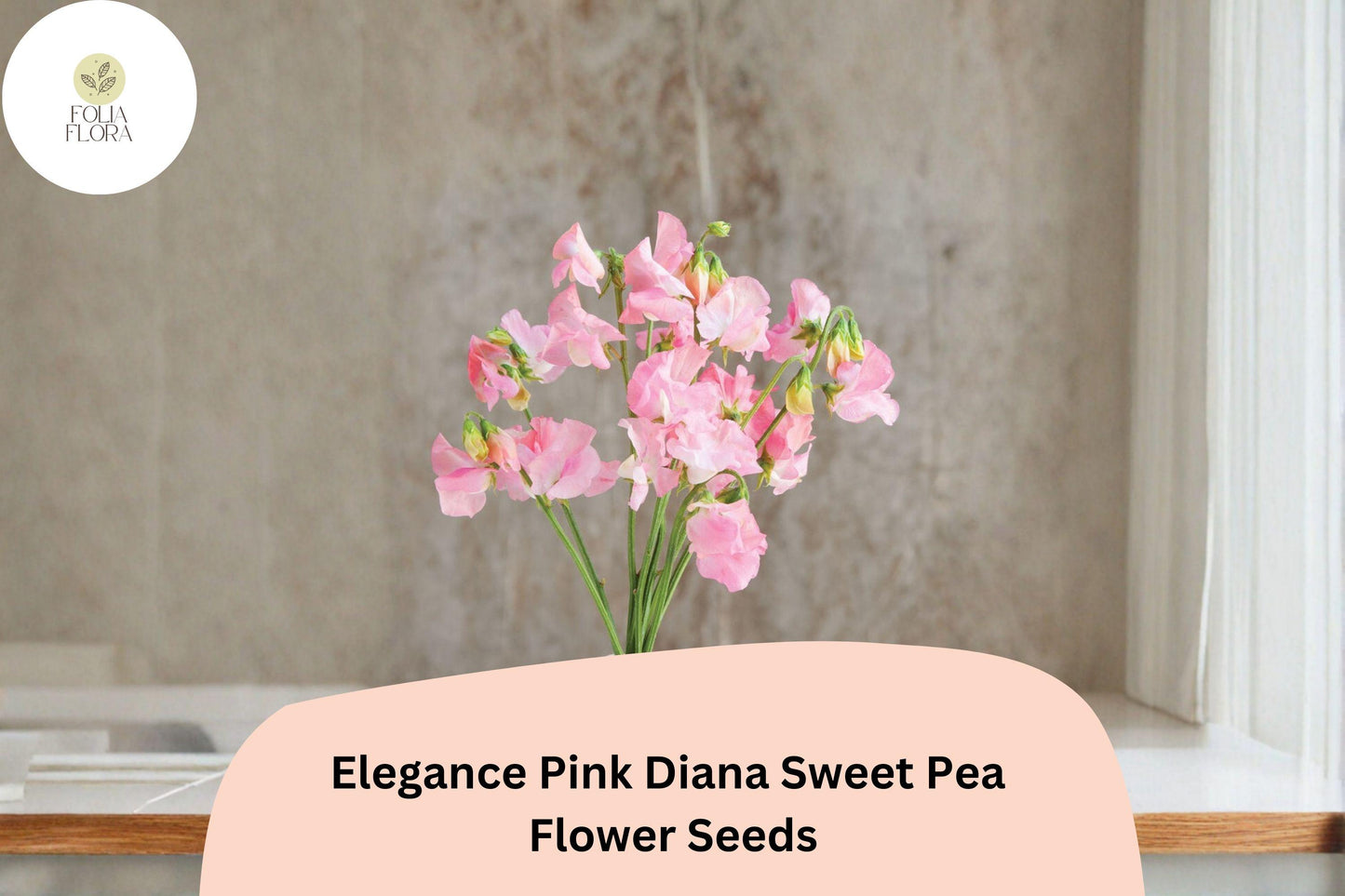 Elegance Pink Diana Sweet Pea Seeds | Lathyrus odoratus Pink Climbing Vine (50+ Seeds) for Garden