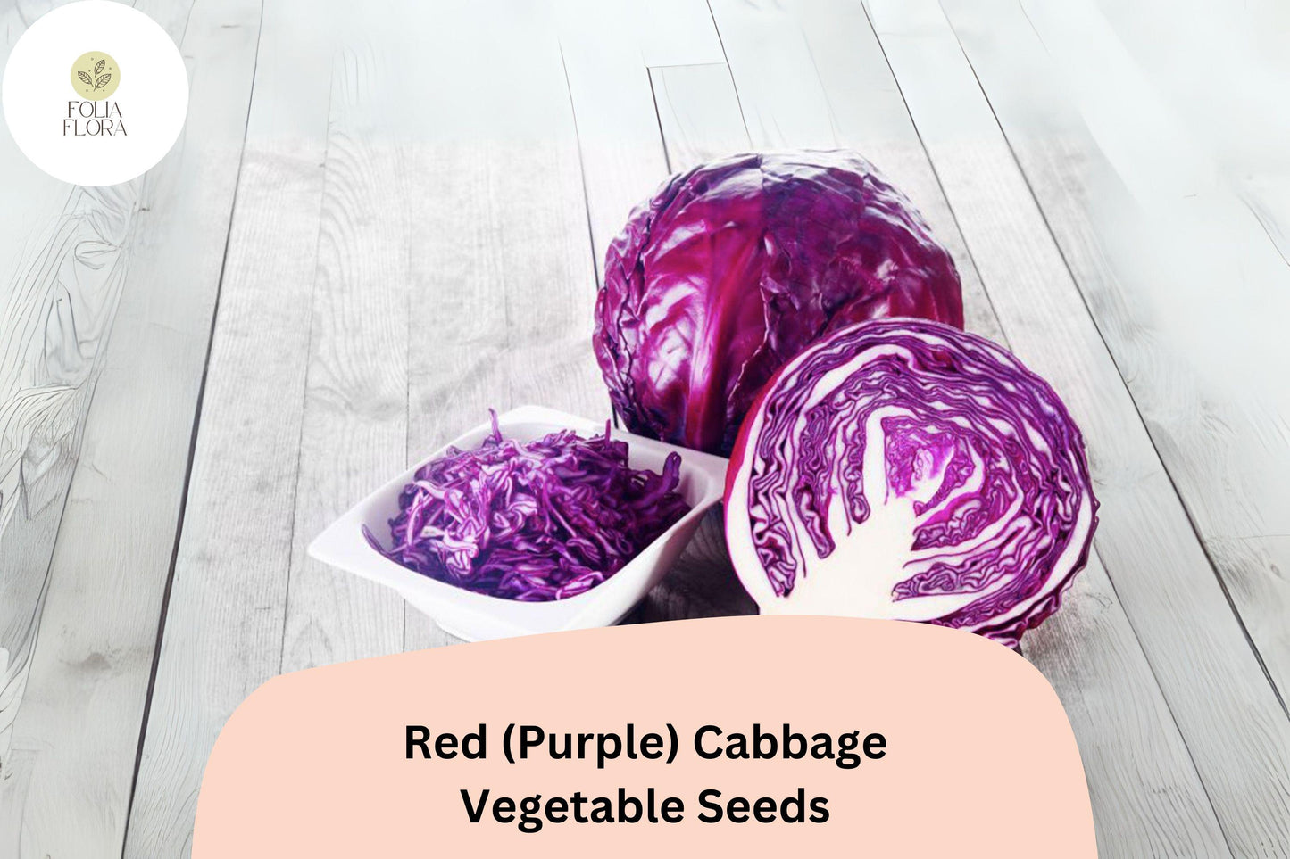 500+ Red (Purple) Cabbage Seeds | Heirloom Garden Vegetable | Brassica oleracea | Fresh Bulk Seeds for Planting