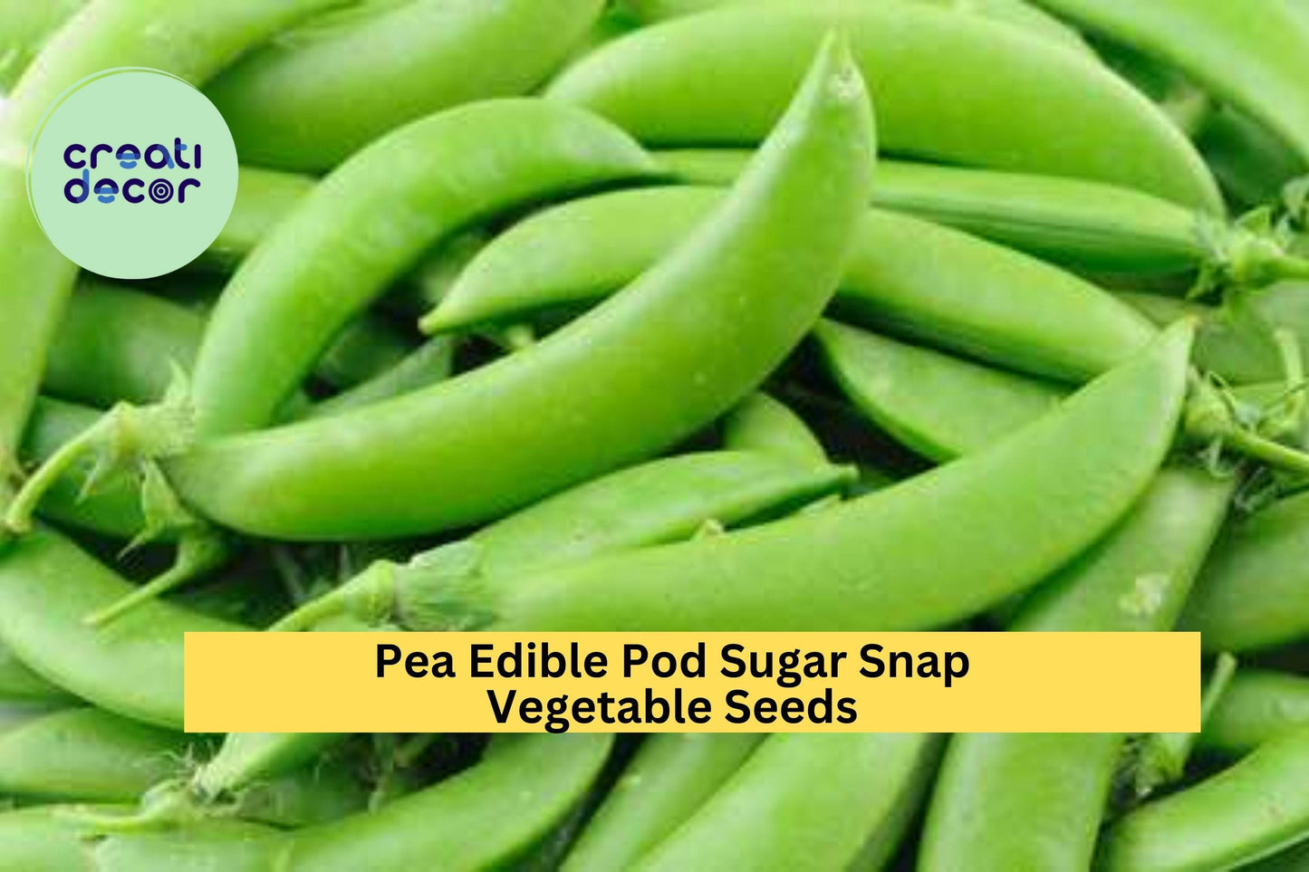 3pcs of 5g Sugar Snap Pea Seeds – Crisp Edible Pods for Snacking, Stir-Fry, and Easy Growing in Home Vegetable Gardens Seeds for Planting