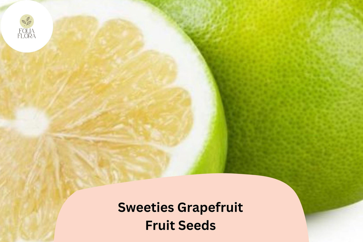 5+ Sweeties Grapefruit Seeds – Ultra-Sweet, Low-Acid & Juicy Citrus Tree