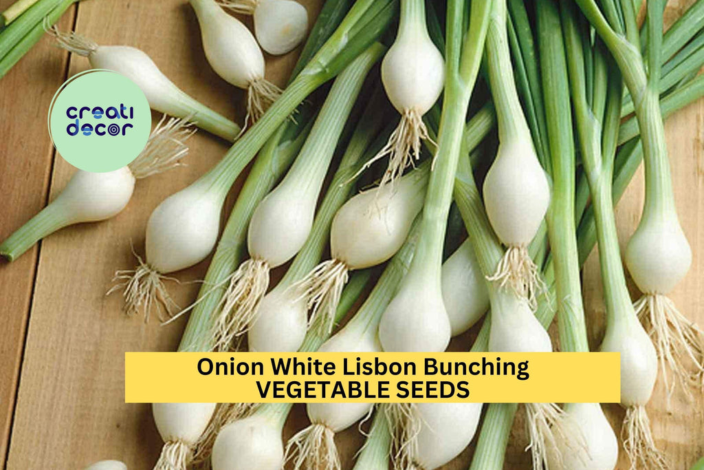 3pcs of 250mg Onion White Lisbon Bunching Seeds – Mild Green Onion Seeds for Planting – Fast-Growing Scallions for Home Gardens