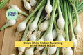 3pcs of 250mg Onion White Lisbon Bunching Seeds – Mild Green Onion Seeds for Planting – Fast-Growing Scallions for Home Gardens