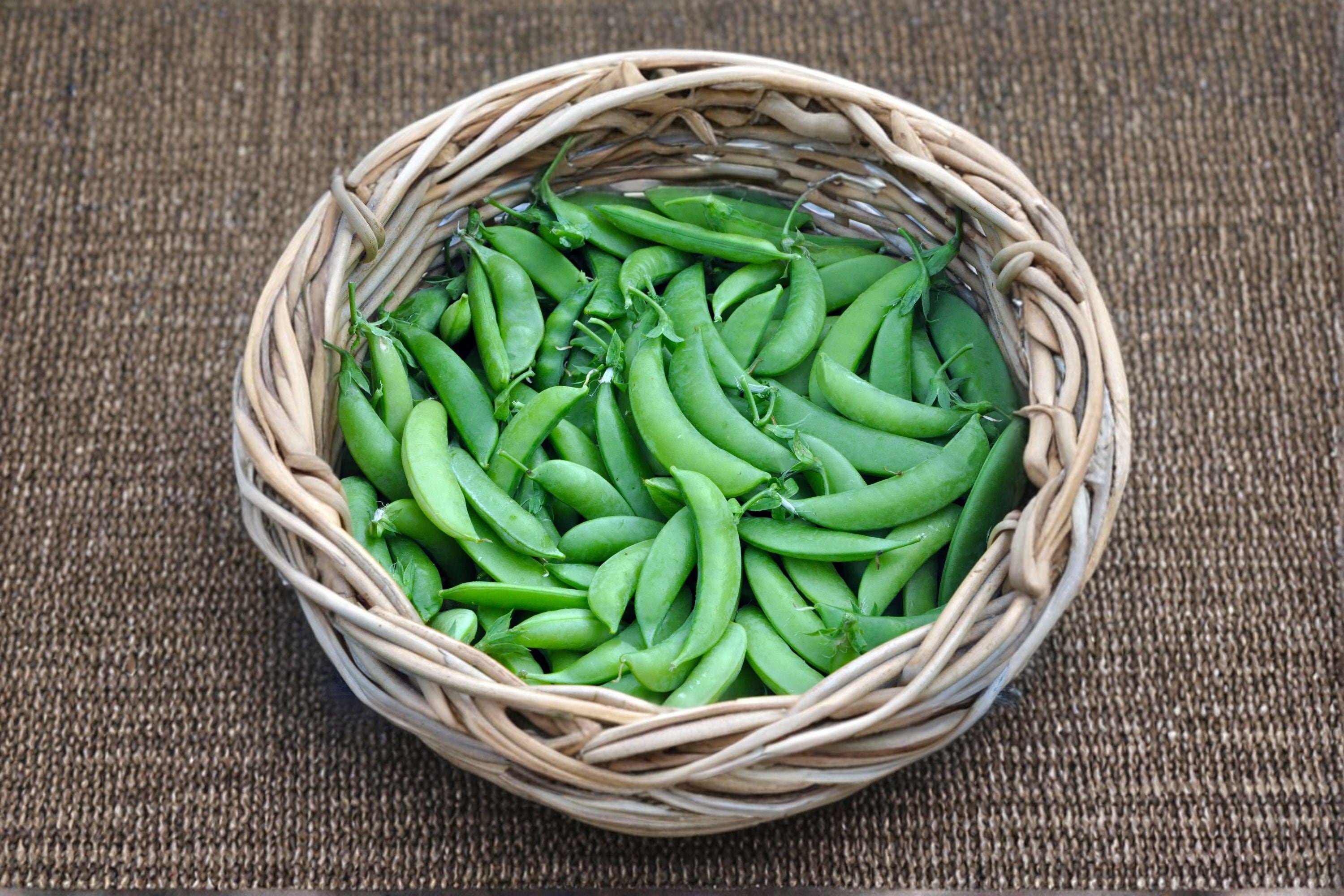 Pea – Edible Pod Sugar Snap 30 Seeds | Classic Sugar Snap Pea | Sweet Crunchy Pods | Cool-Season Garden Favorite