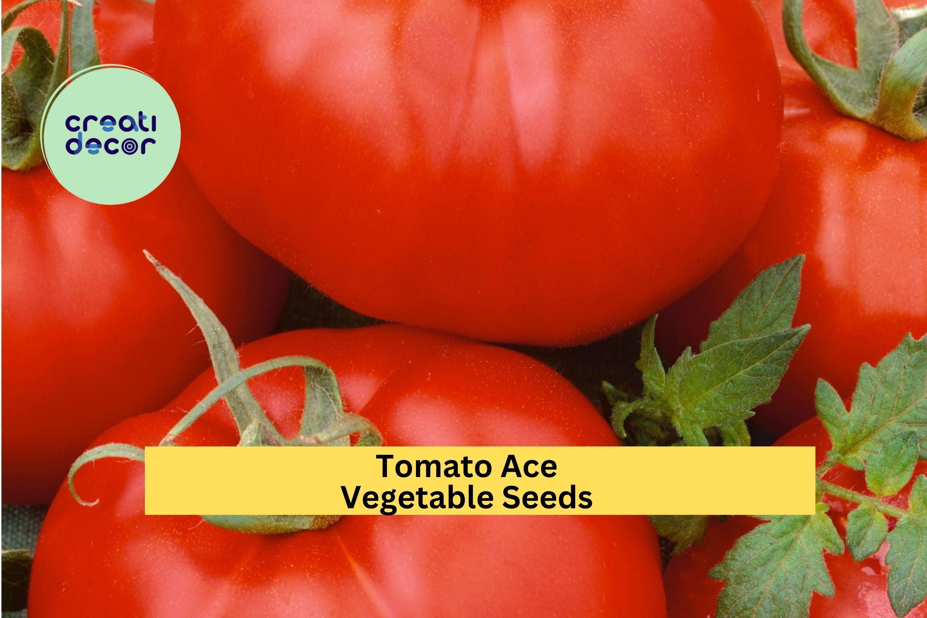 3pcs of 100mg Tomato Ace 55 Seeds – Low Acid Heirloom Tomatoes for Salads & Canning, Great for Backyard Gardeners Seeds for Planting