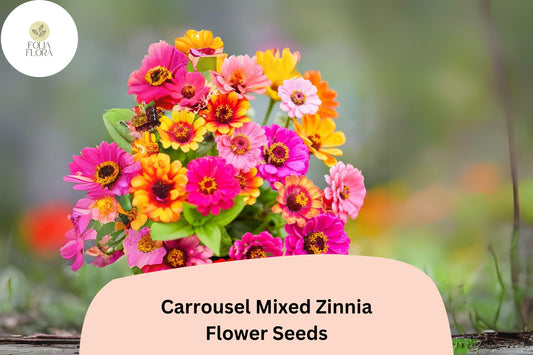 100+ Carrousel Mix Zinnia Seeds – Unique Bi-Color Blooms for Summer Gardens & Cut Flowers