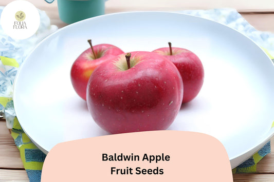 25+ Baldwin Apple Seeds for Planting | Heirloom Cold Hardy Apple Tree | Sweet Crisp Fruit | Garden Orchard Seeds