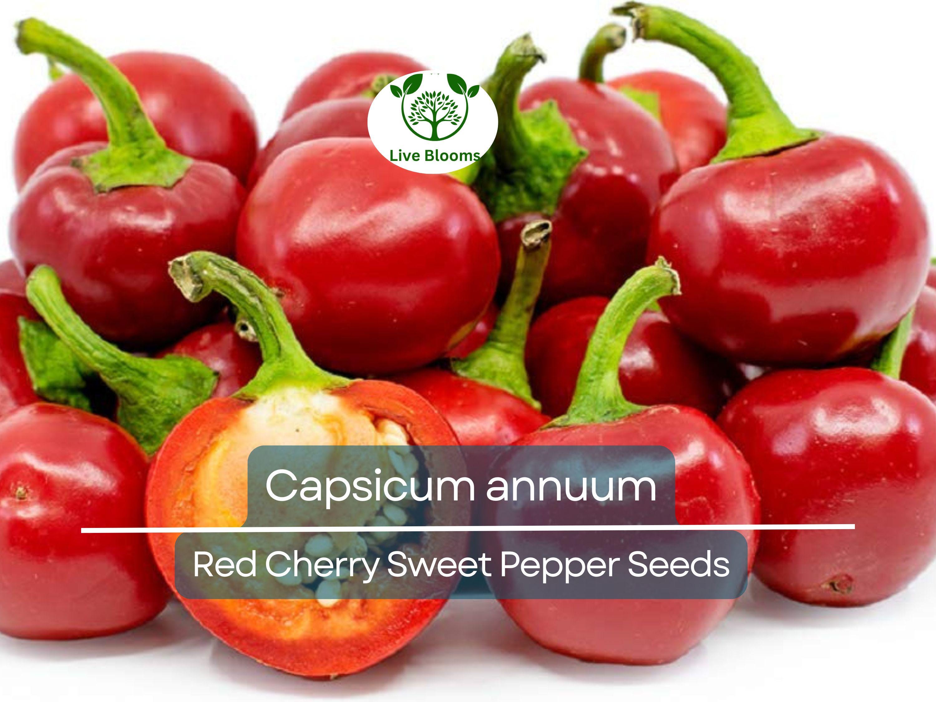 250 mg Red Cherry Sweet Pepper Seeds - Capsicum annuum | Heirloom Sweet Pepper for Planting, Home Garden & Culinary Use, Small Round Peppers