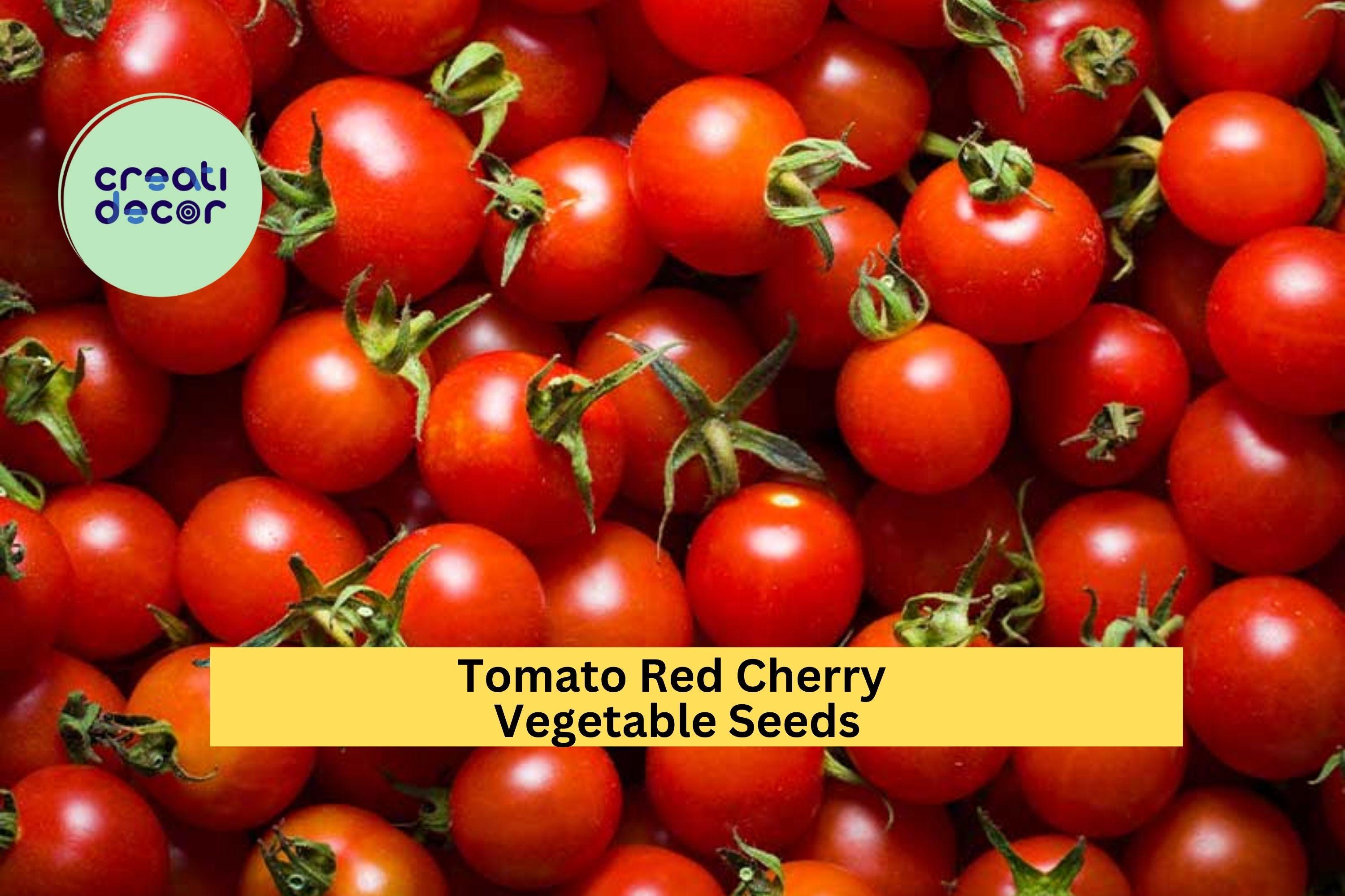3pcs of 100mg Red Cherry Tomato Seeds – Sweet & Juicy Mini Tomatoes for Snacking, Salads, or Container Gardening Seeds for Planting