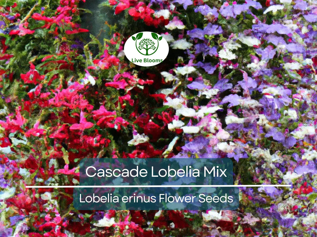 100 Cascade Lobelia Seed Mix, Colorful Trailing Perennial Flowers (Lobelia erinus), Hanging Baskets, Garden, Low-Maintenance, Summer Blooms