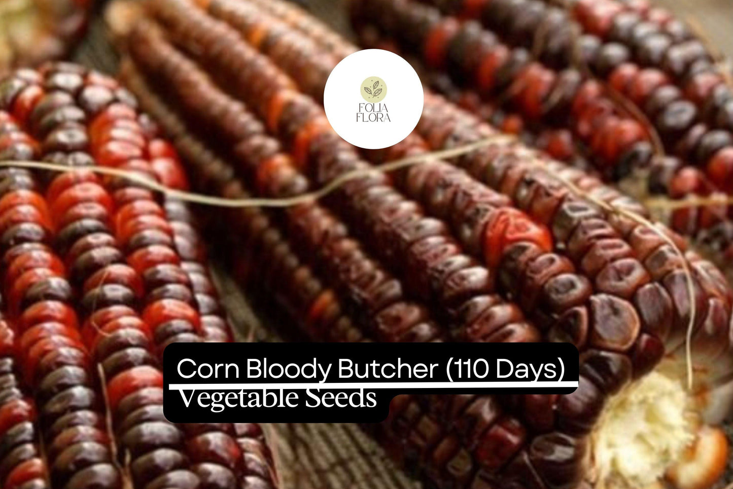 5g Corn Bloody Butcher Seeds | Zea mays | Heirloom Red Dent Corn | Non-GMO, Multi-Purpose & Hardy