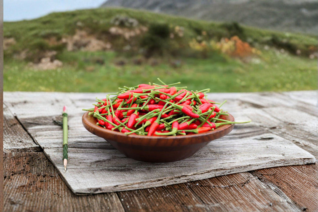 Thai Garden Bird – Hot Pepper 30 Seeds | Very Hot Thai Chili | Upright Fruits | Compact & Heavy Producing