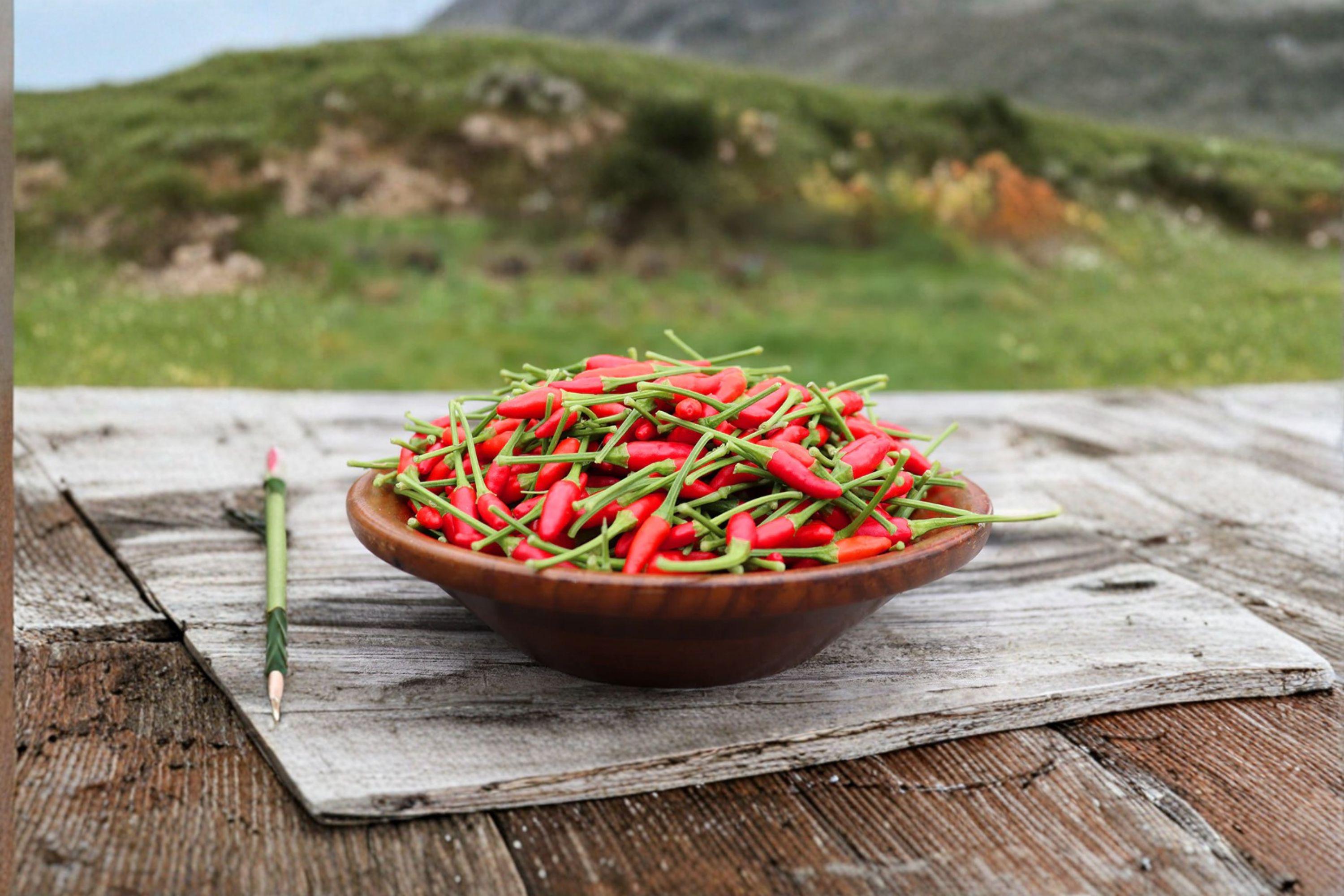 Thai Garden Bird – Hot Pepper 30 Seeds | Very Hot Thai Chili | Upright Fruits | Compact & Heavy Producing