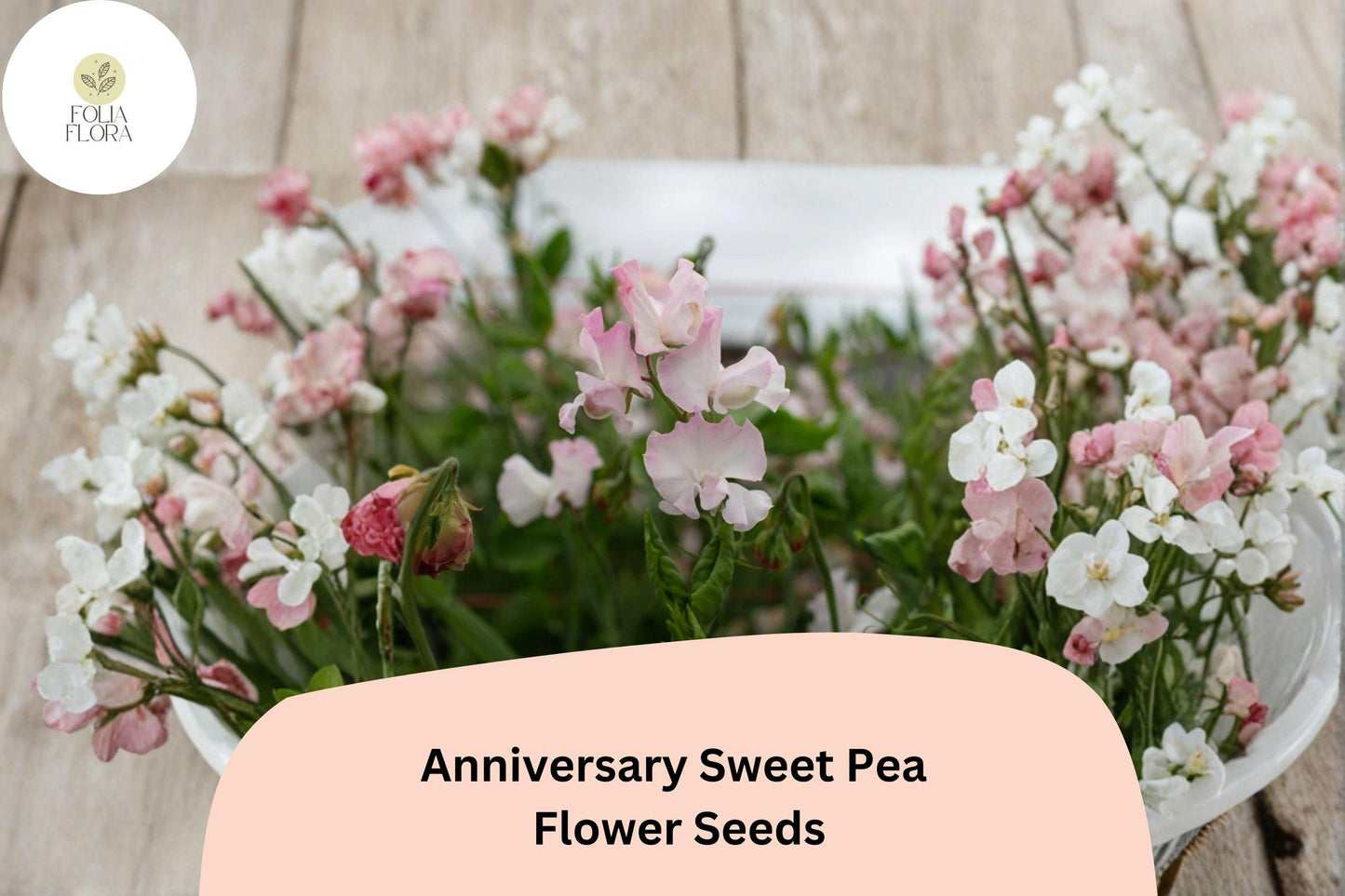 Anniversary Sweet Pea Seeds – Pink Climbing Flower, 50+ Garden Planting Seeds