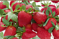 Seascape Strawberry 20 Roots (Fragaria × ananassa ‘Seascape’) Bare Root Strawberry Plants