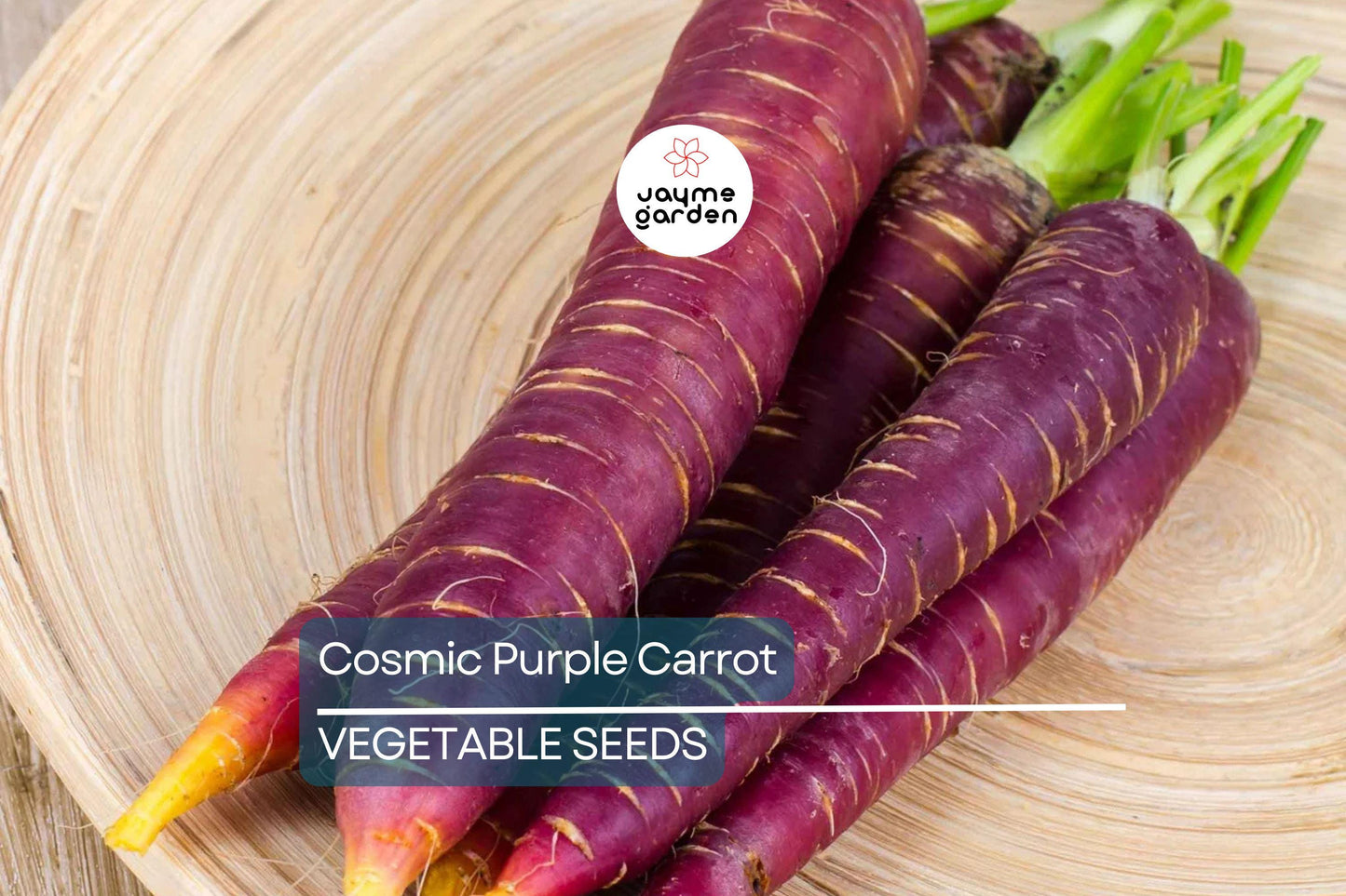 1,000 Cosmic Purple Carrot Seeds – Non-GMO, Open Pollinated, Great for Microgreens | USA Seller