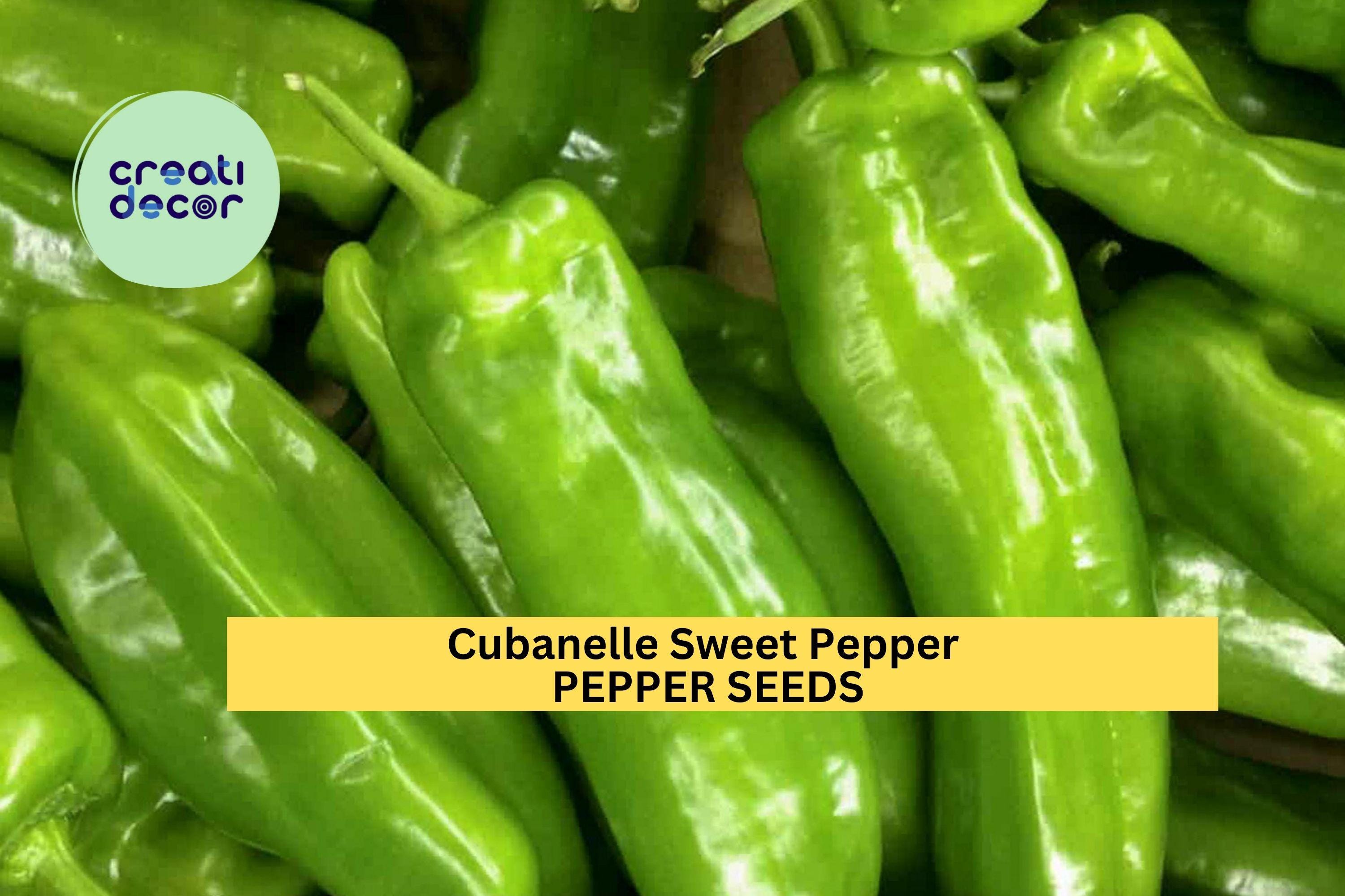 3pcs of 250mg Cubanelle Sweet Pepper Seeds – Mild, Sweet Peppers Ideal for Frying and Stuffing – Vegetable Garden Seeds for Planting