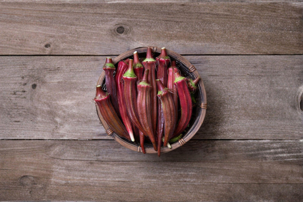 Okra – Red Burgundy 15 Seeds | Striking Red Pods | Heirloom Okra | Ornamental & Edible