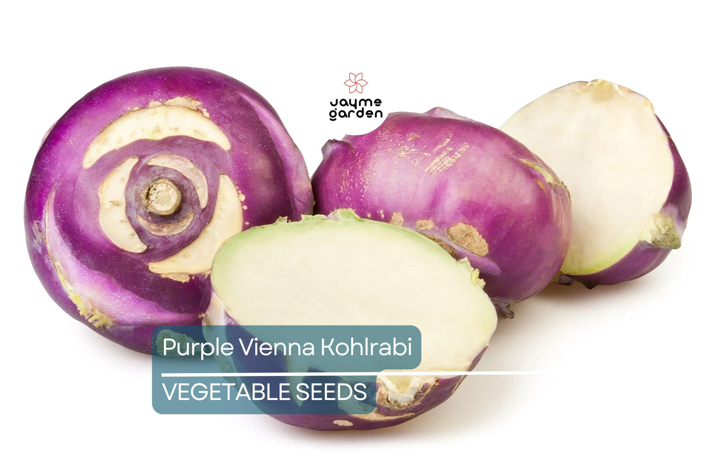 1000 Purple Vienna Kohlrabi Seeds - Non-GMO Heirloom | Cool Season Root Vegetable | Fast Growing | Free Shipping