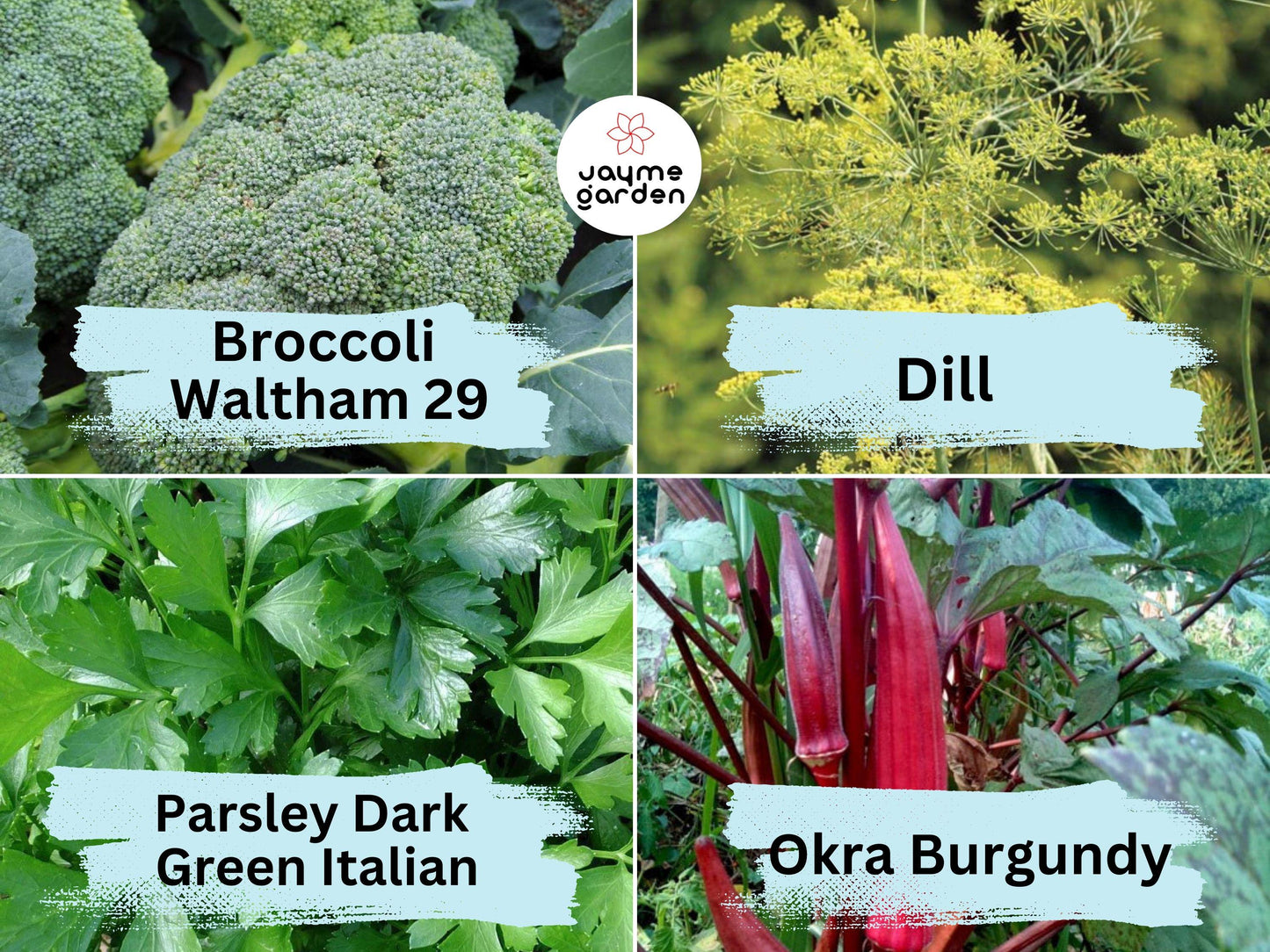 16 Vegetable & Herb Seeds Variety Pack - Heirloom Non-GMO (1g Each) - Kale, Basil, Broccoli, Dill, Pak Choi, And More for Gardening