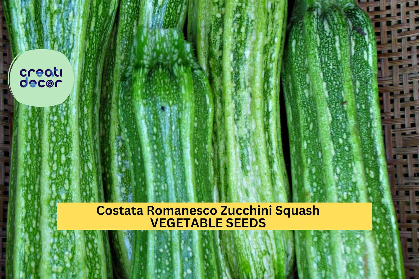 25+ Costata Romanesco Zucchini Seeds – Italian Heirloom Summer Squash for Garden Planting, Ribbed Fruits with Nutty Flavor – USA