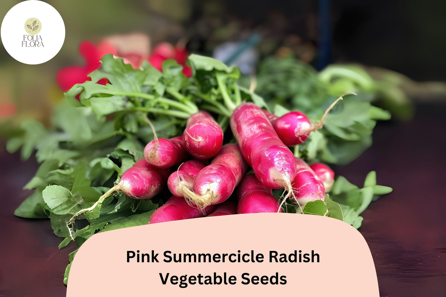 500+ Pink Summercicle Radish Seeds – Heirloom Long Pink Radish Seeds for Garden Planting