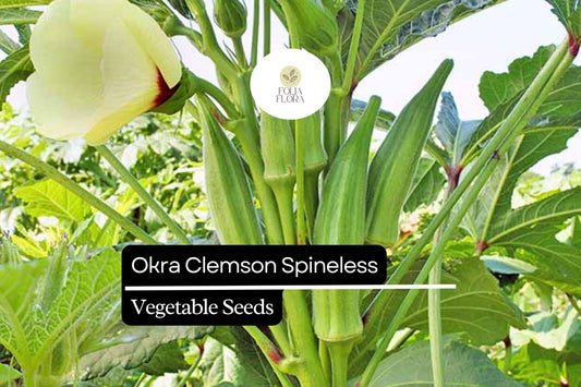 5g Okra Clemson Spineless Seeds Abelmoschus esculentus | Heirloom, Non-GMO, High Yield, Heat Tolerant, Tender Pods, Easy to Grow