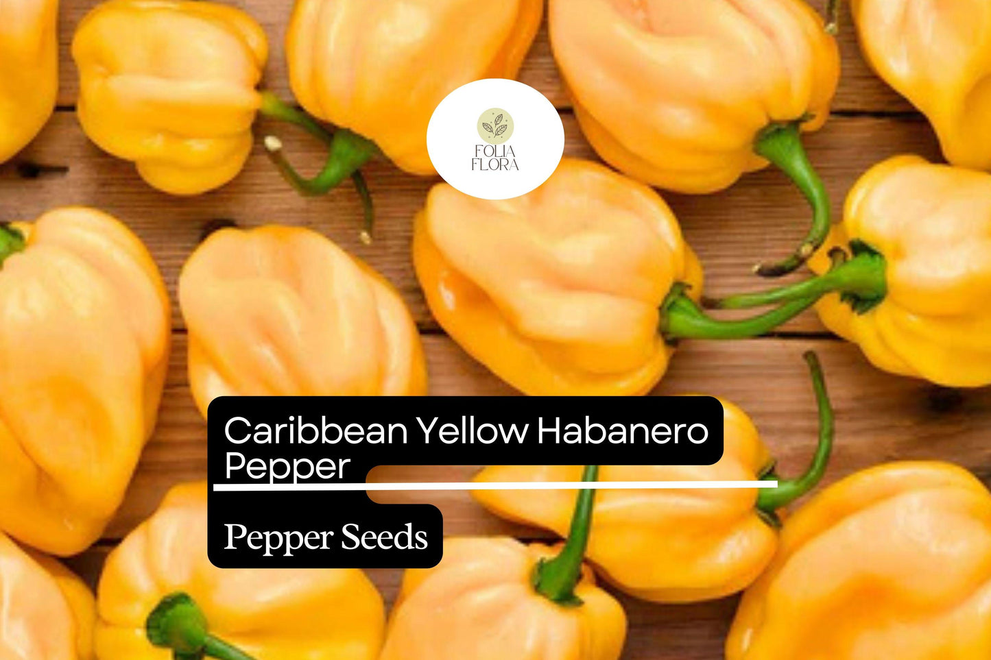 25 Caribbean Yellow Habanero Pepper Seeds – Capsicum chinense – Hot Chili, Heirloom, Non-GMO, 300,000+ Scoville