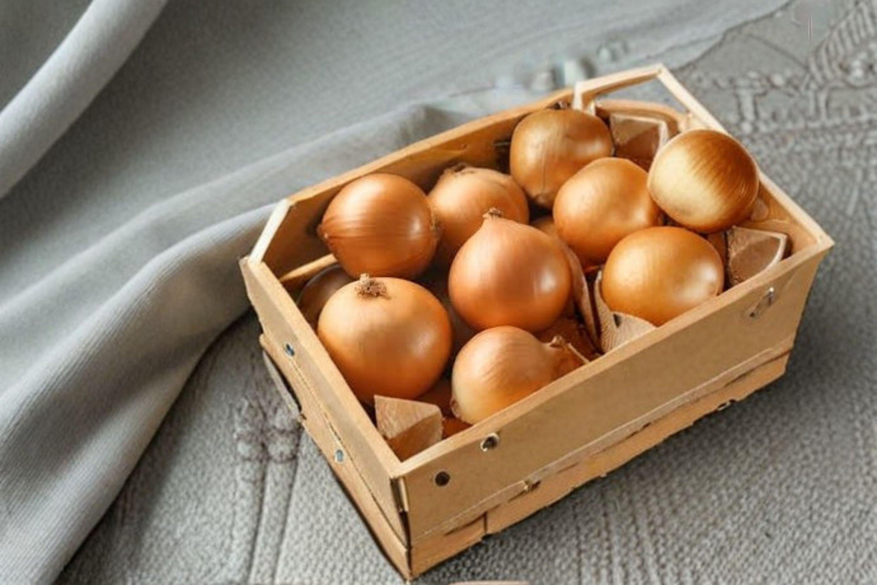 Onion – Sweet Spanish Colorado #6 - 50 Seeds | Large Sweet Onion | Yellow Storage Type | Excellent Flavor & Size