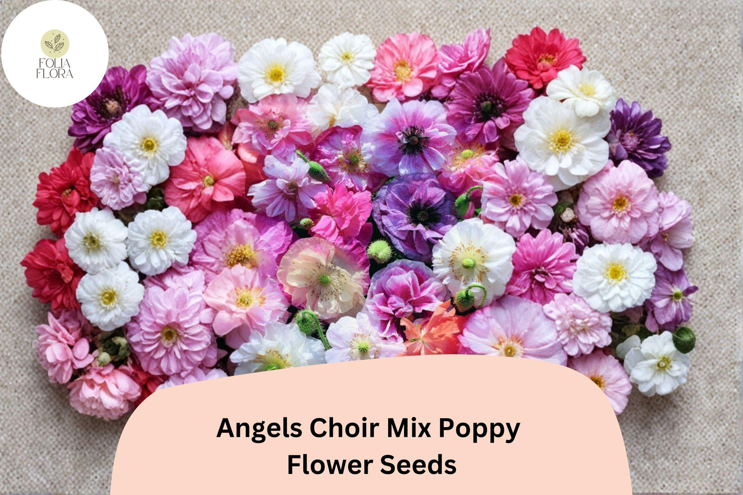 200+ Angels Choir Mix Poppy Seeds | Papaver | Vibrant Garden Blooms | Easy-to-Grow Annual Flower Seeds for Beds & Pots