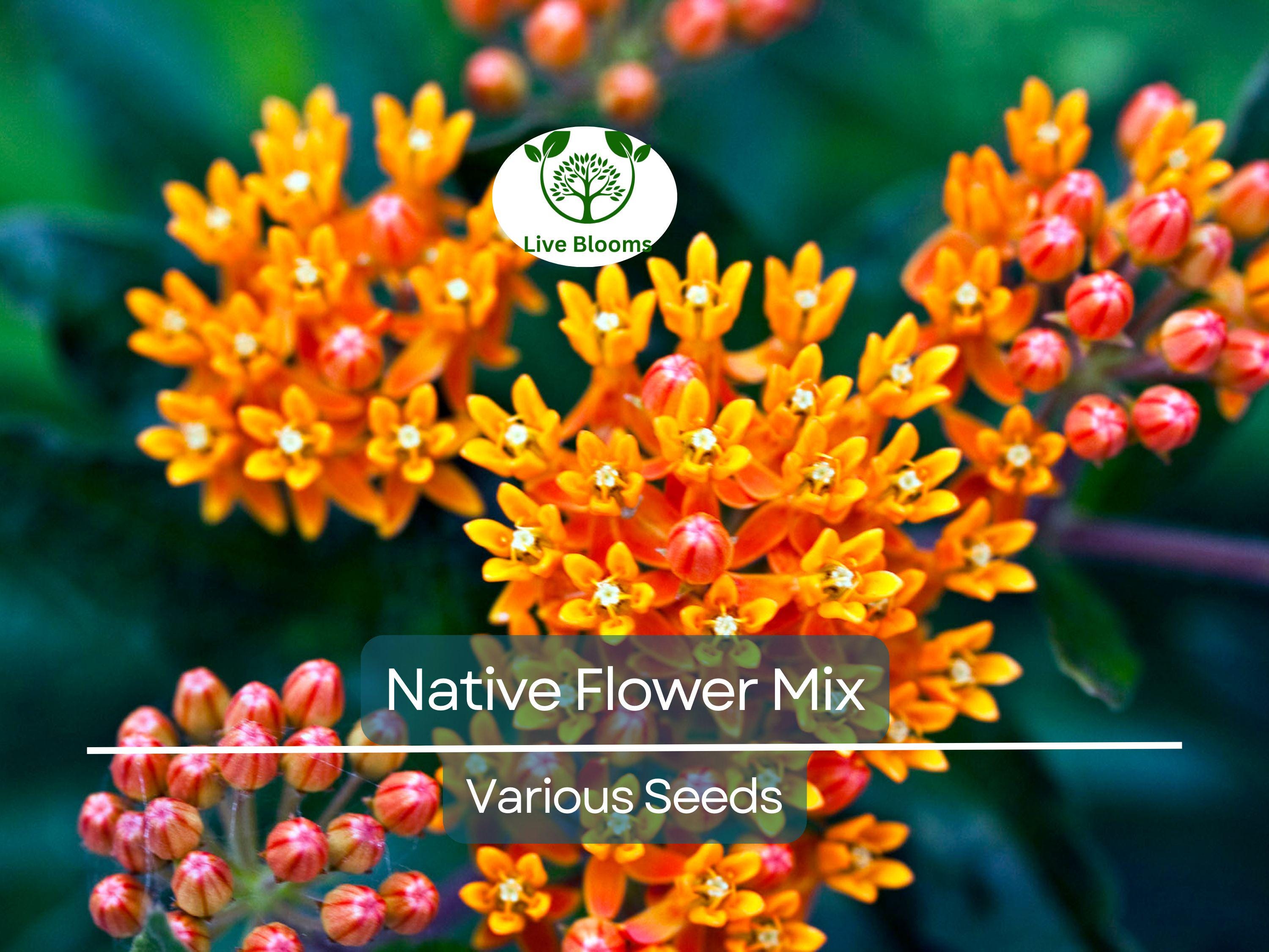 1000 Seeds Native Flower Mix for Monarchs & Milkweed Butterflies, Non-GMO, Includes Asclepias and Wildflowers