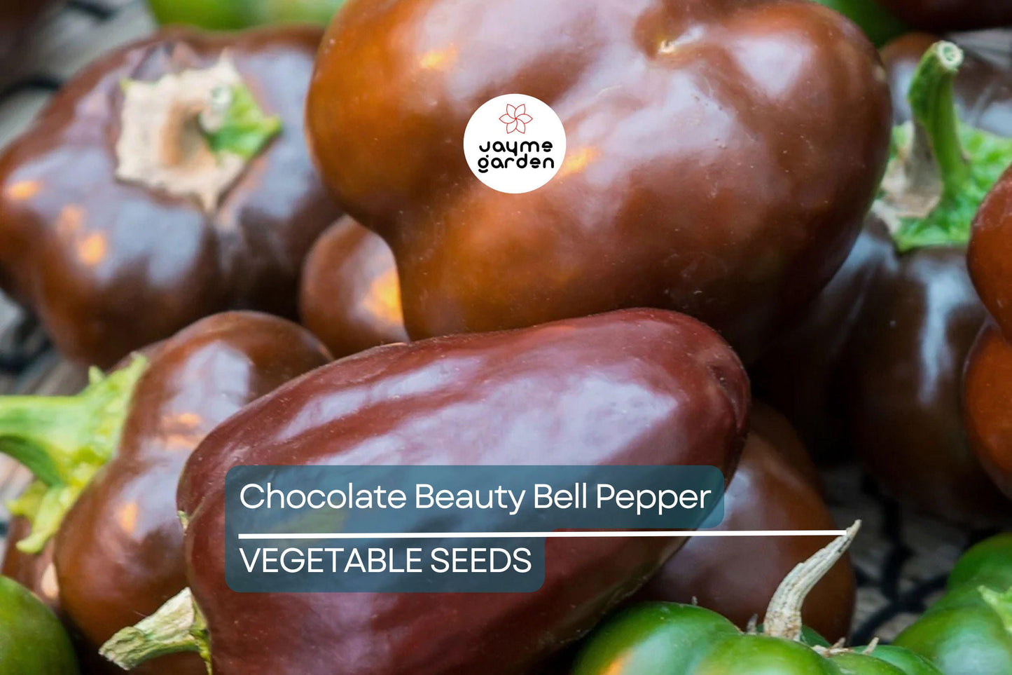 50 Chocolate Beauty Bell Pepper Seeds - Heirloom, NON-GMO, Sweet & Juicy, USA Seller