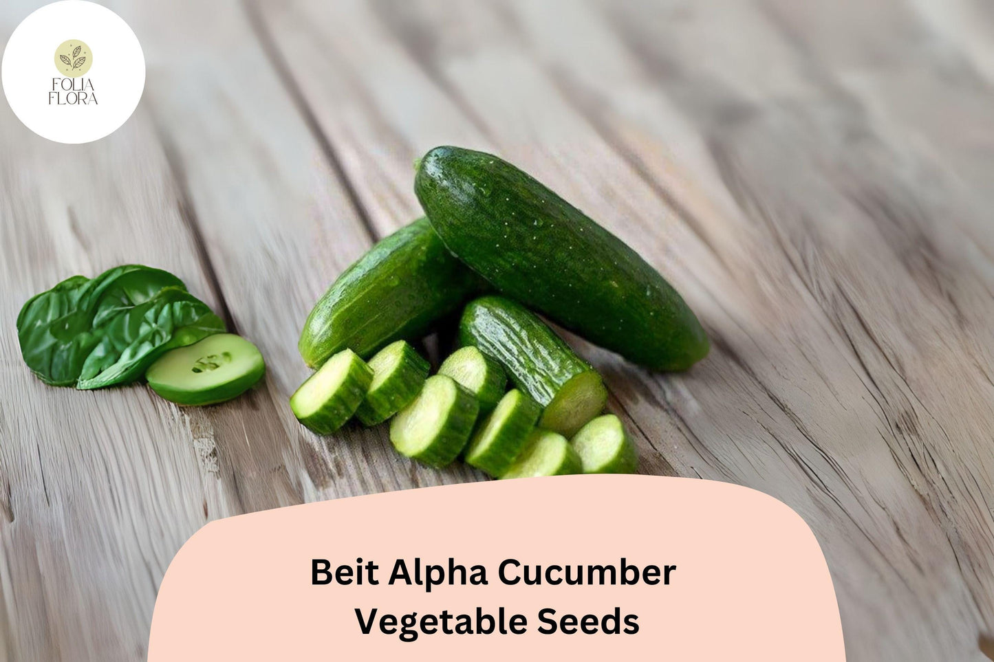 25+ Beit Alpha Cucumber Seeds | Sweet Thin-Skinned Israeli Variety | Non-GMO Easy Garden Planting