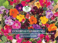 50 Seeds COLORFUL CLIMBERS Mix - Morning Glory, Sweet Pea, Nasturtium Vines, Non-GMO, Fast-Growing, Perfect for Vertical Gardens & Trellises