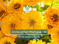 200 Seeds Zinnia Lemon Meringue Mix, Pollinators & Butterflies, Non-GMO, Bright Yellow Flowers, Garden Plants, Easy to Grow, Annual Blooms