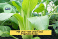 3pcs x 500mg Bok Choi Taisai Seeds – Asian Greens for Garden, Raised Beds, or Containers – Crisp, Fast-Growing Leaves Seeds for Planting