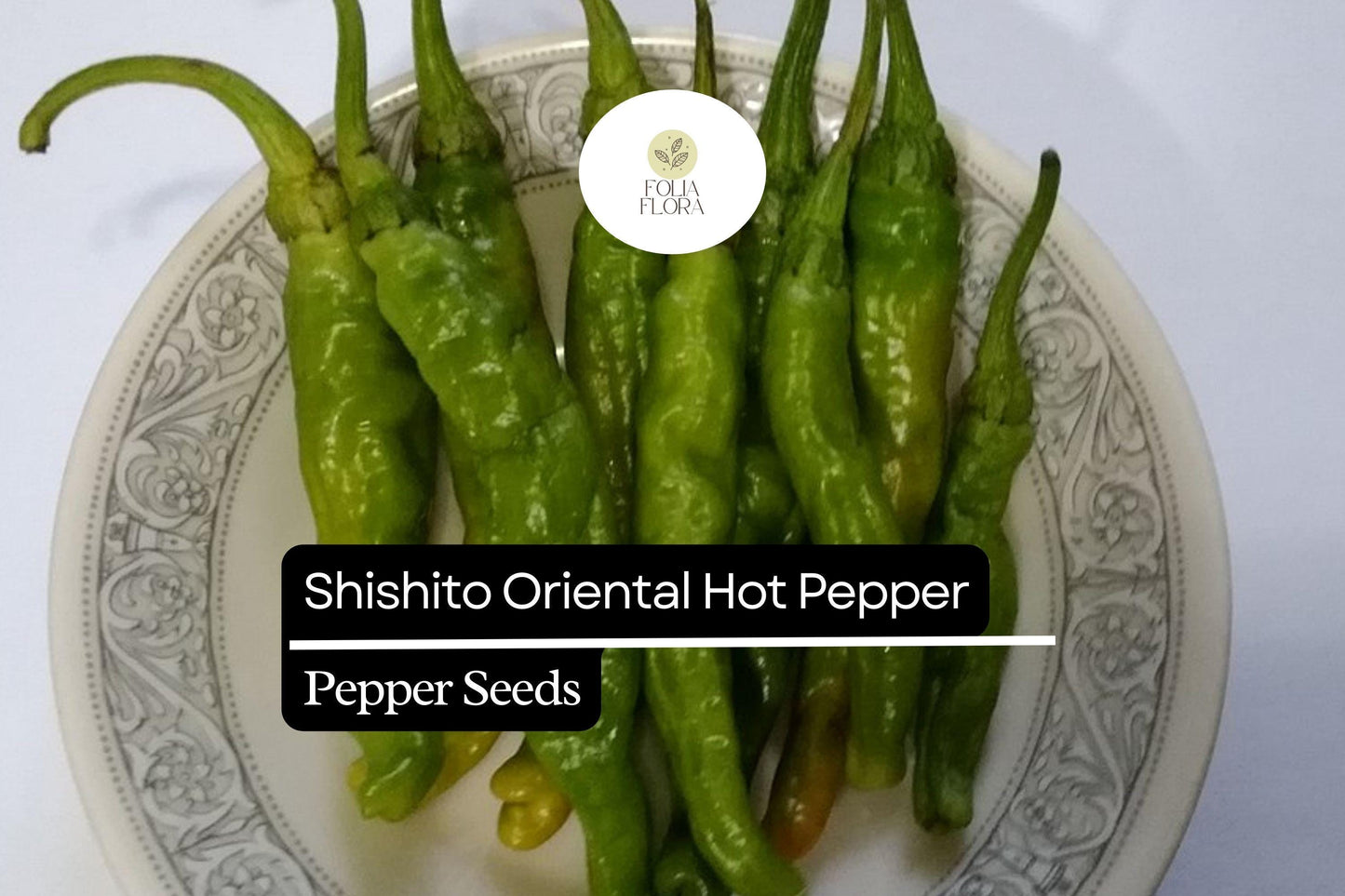 10 Seeds Shishito Pepper, Mild Japanese Pepper, Perfect for Grilling and Sautéing