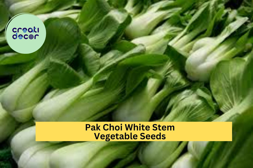 3pcs of 1g Pak Choi White Stem Seeds – Crisp Asian Greens for Stir-Fries, Soups & Home Garden Vegetable Growing Seeds for Planting