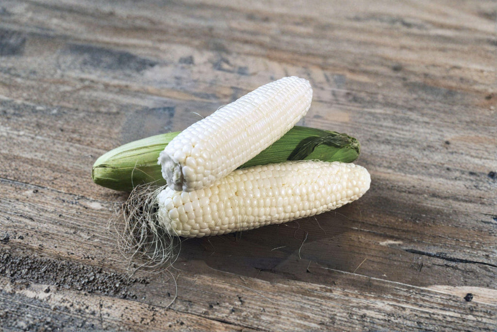 Sweet Corn – Silver Queen (Hybrid) 35 Seeds | Classic White Sweet Corn | Tender & Juicy Kernels | Garden Favorite