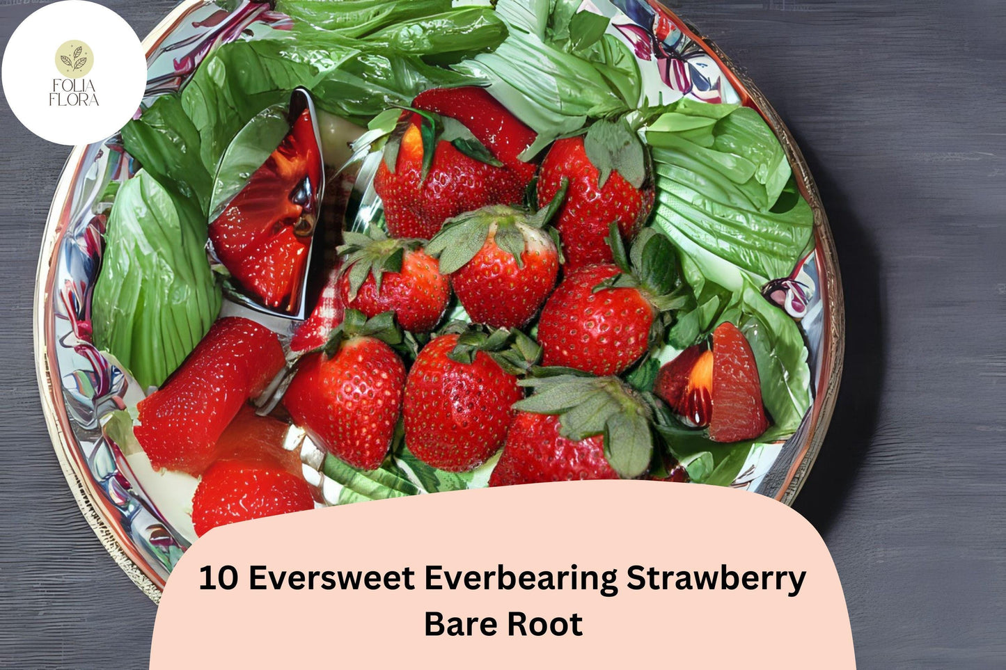 10 Eversweet Everbearing Strawberry Plants | Live Bare Root | Fragaria × ananassa Garden Fruit
