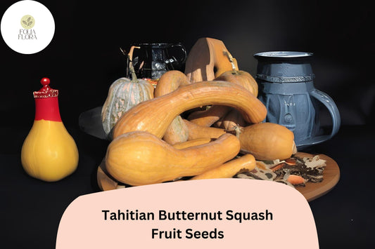 25+ Tahitian Butternut Squash Seeds | Heirloom Winter Squash | Sweet, Long-Necked Variety for Baking, Roasting & Storage
