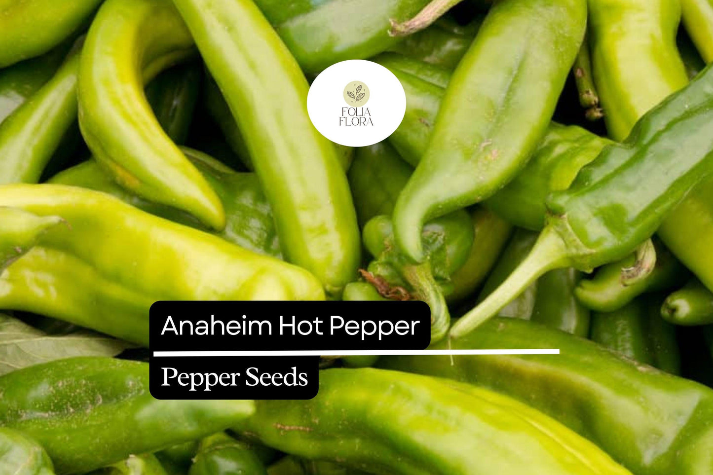 25 Anaheim Pepper Seeds – Capsicum annuum – Mild & Flavorful, High-Yielding, Great for Roasting