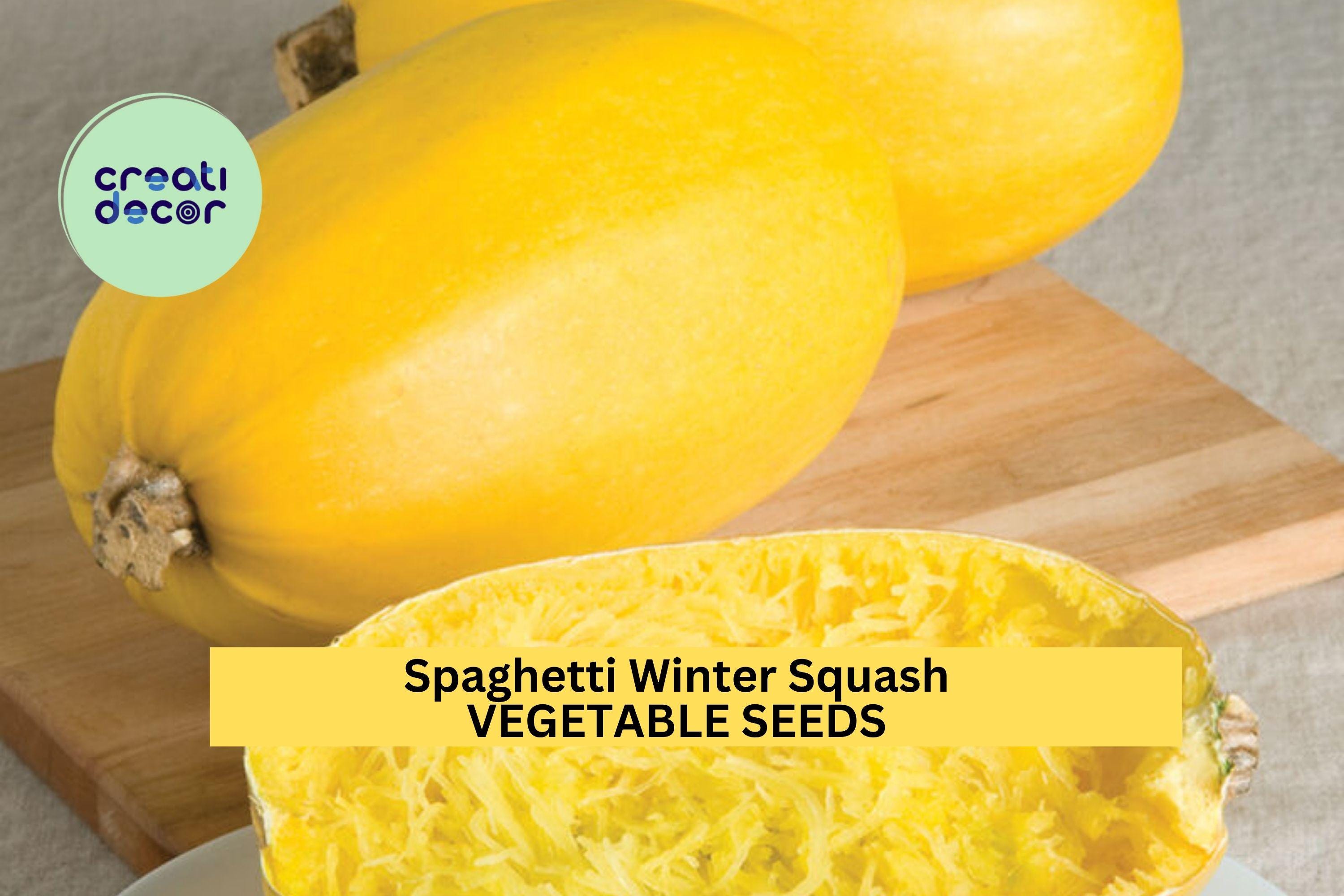 3pcs of 1g Spaghetti Squash Seeds – Winter Squash Variety, Low Carb Pasta Alternative, Easy to Grow, Nutritious Harvest Seeds for Planting